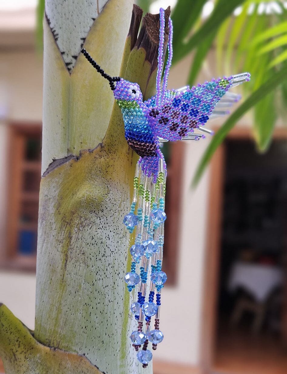 Colibrí Nuevo Home Decor Decals Mother Sierra