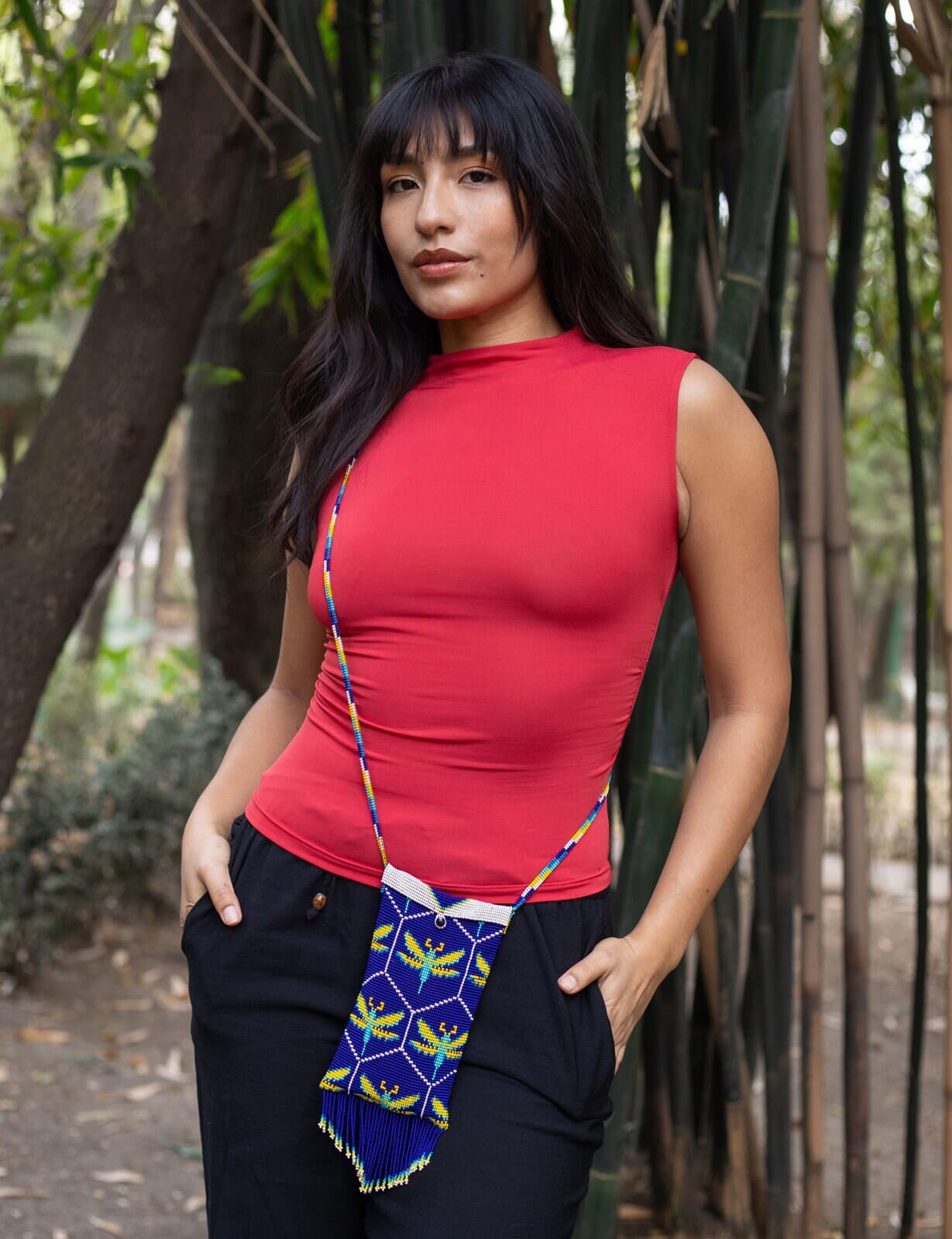 Dragonfly Beaded Purses Mother Sierra