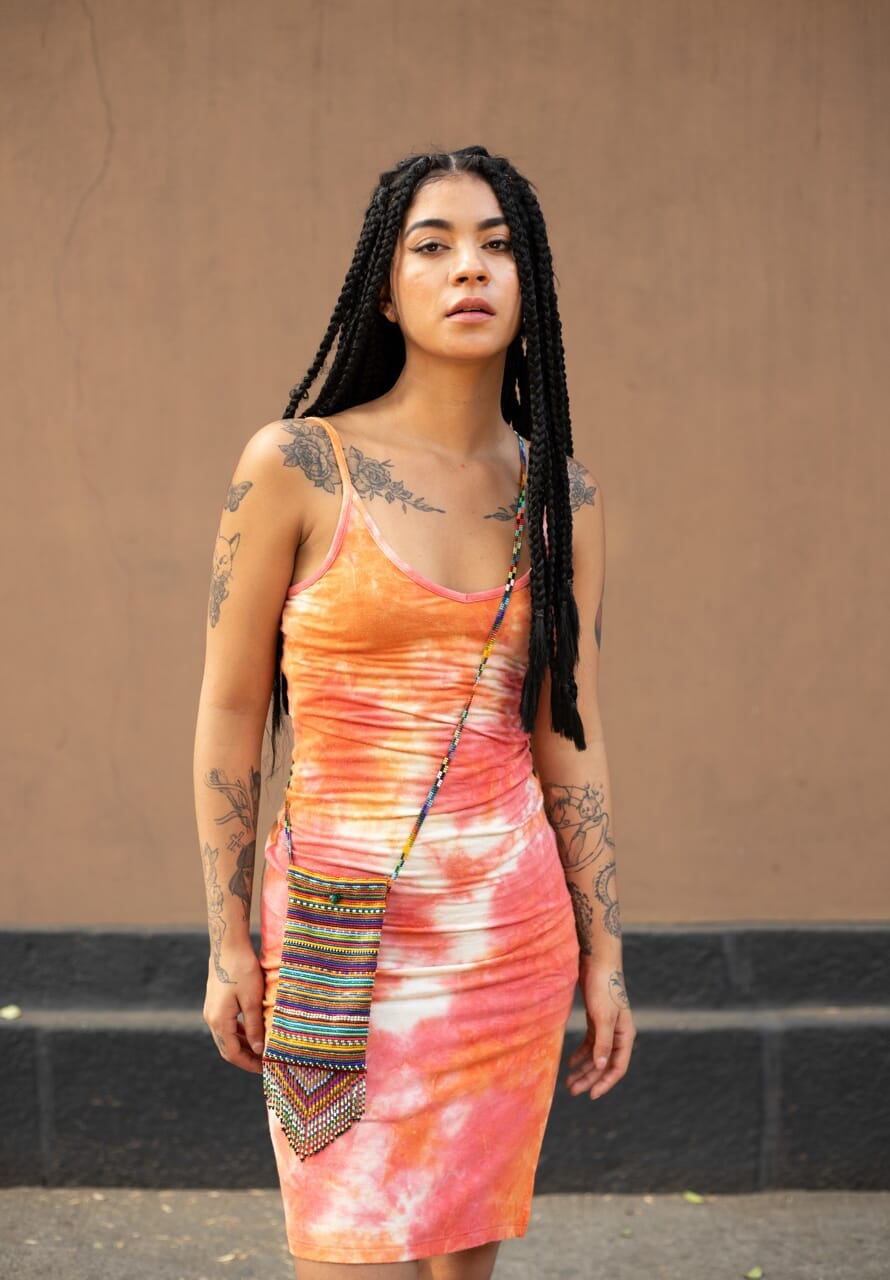 Madagascar Beaded Purses Mother Sierra