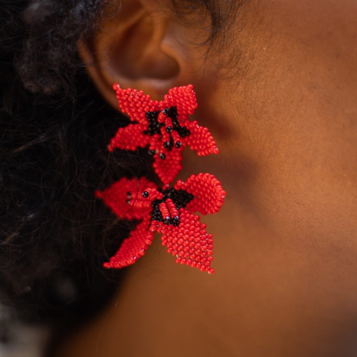 Noche Buena Earrings Mother Sierra