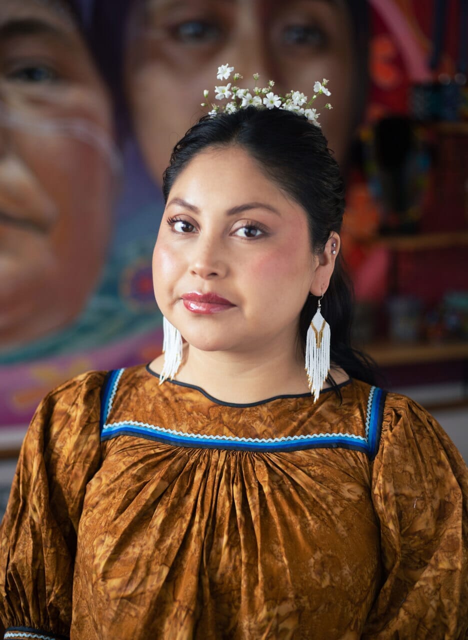 Snow Owl Earrings Mother Sierra 