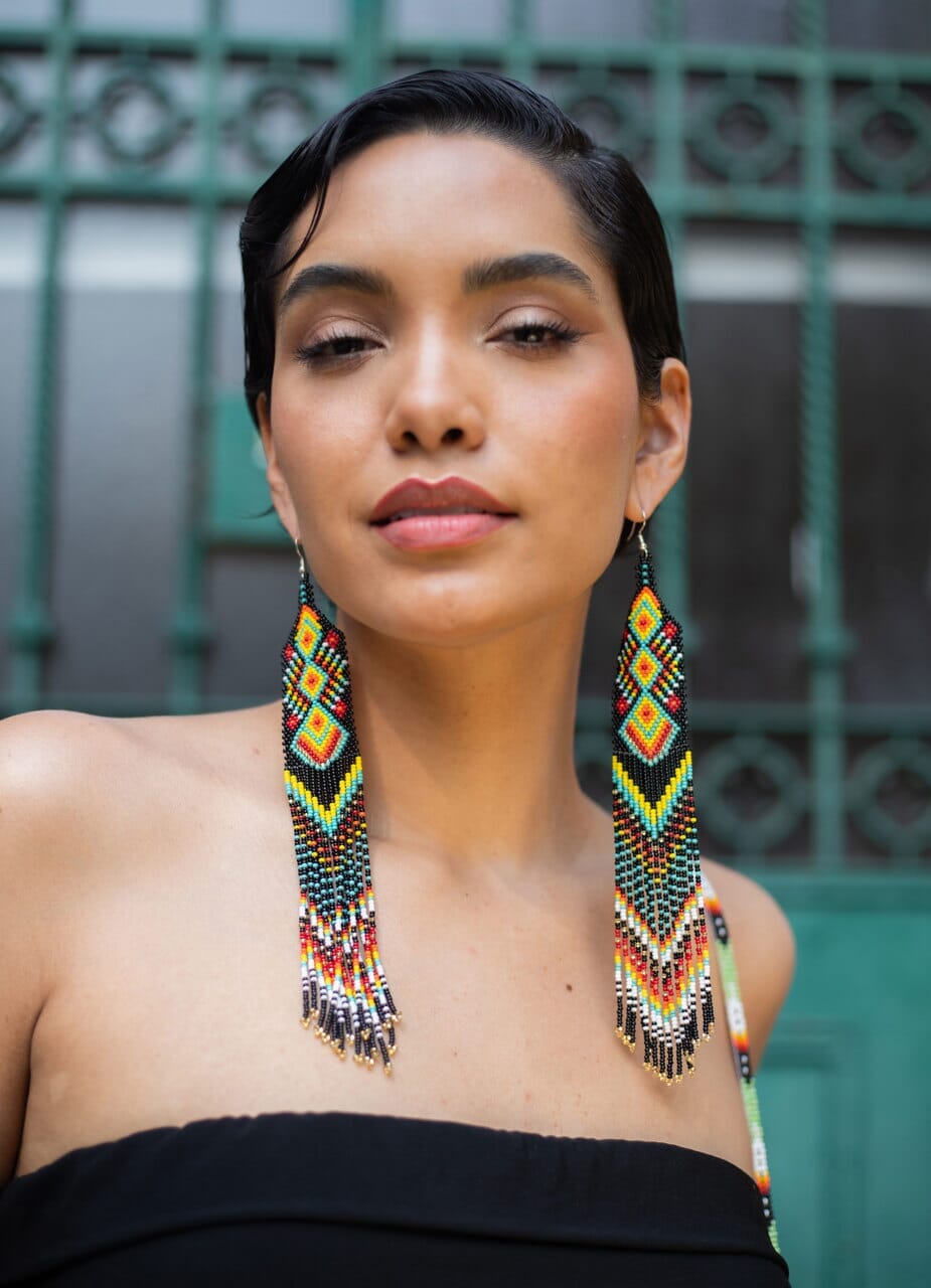 Solar Eclipse Earrings Mother Sierra 