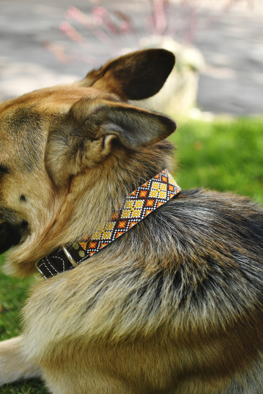 Fabian Dog Collar By Mother Sierra Native American Handmade Beaded Jewelry
