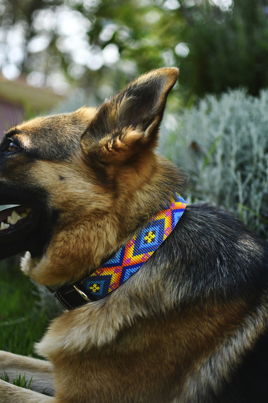 Freda Dog Collar By Mother Sierra - Handmade Beaded Native American Jewelry