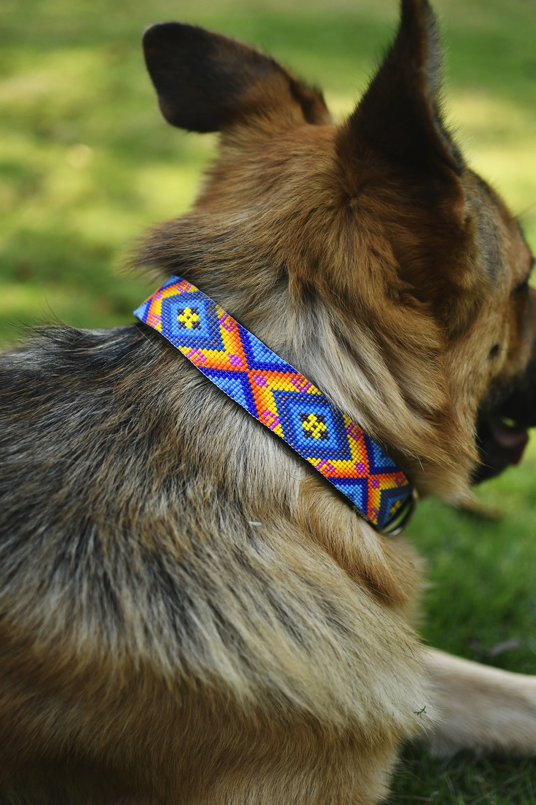 Native American Jewelry Freda Dog Collar By Mother Sierra - Handmade Beaded Jewelry